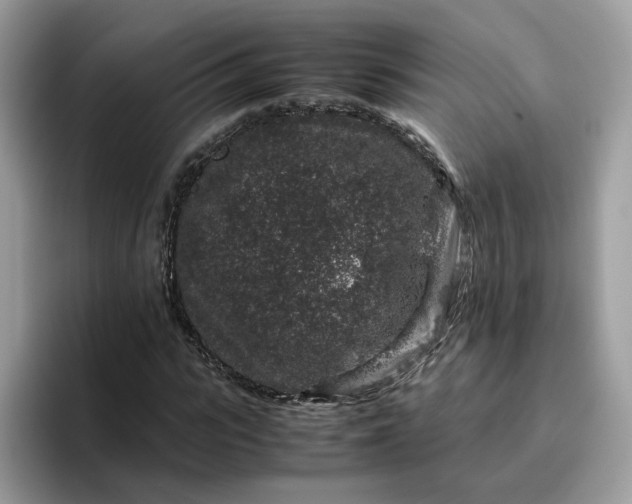 X0000095950919200801251127