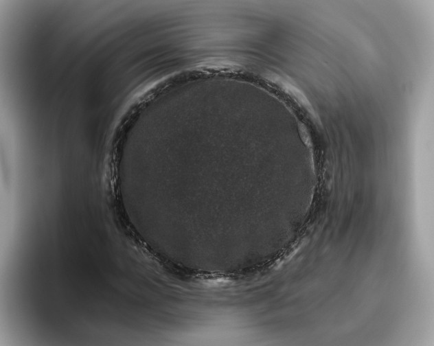 X0000095950920200801251127