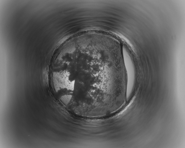 X0000095950921200801251127