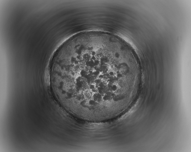 X0000095950925200801251127