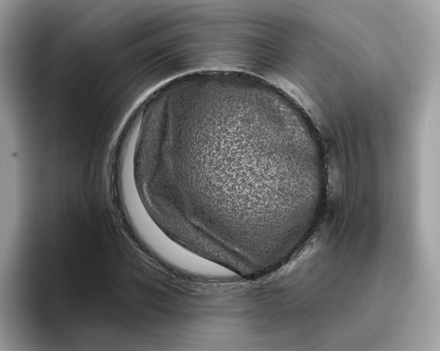 X0000095950926200801251127