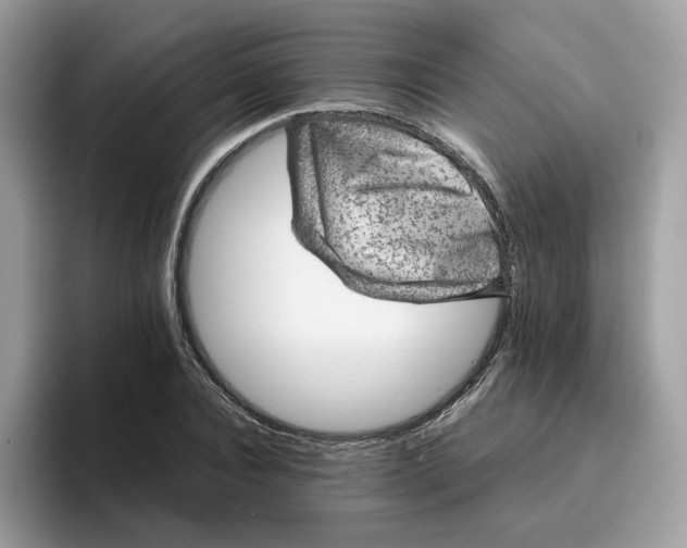 X0000095950928200801251127