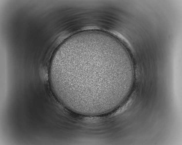 X0000095950929200801251127