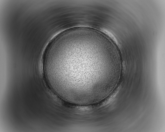 X0000095950931200801251127