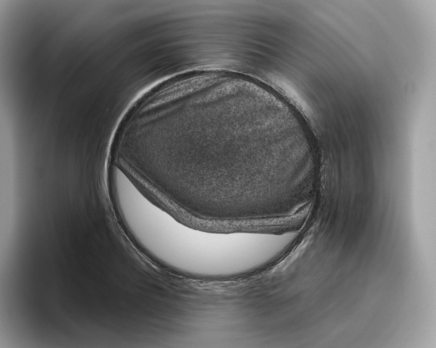 X0000095950932200801251127