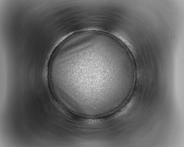 X0000095950933200801251127