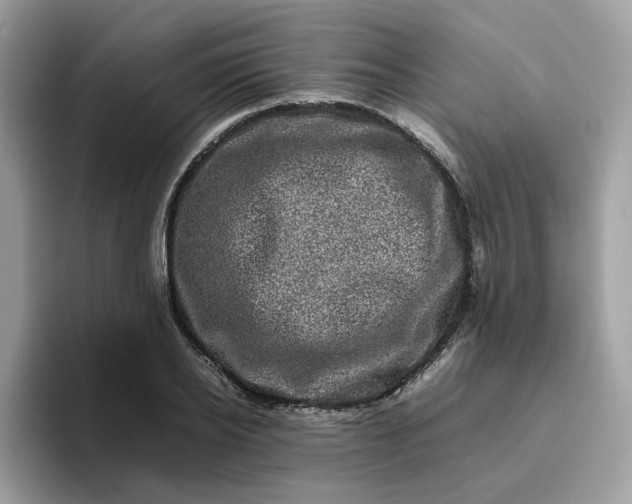 X0000095950934200801251127