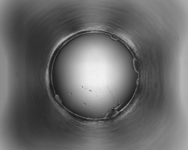 X0000095950936200801251127