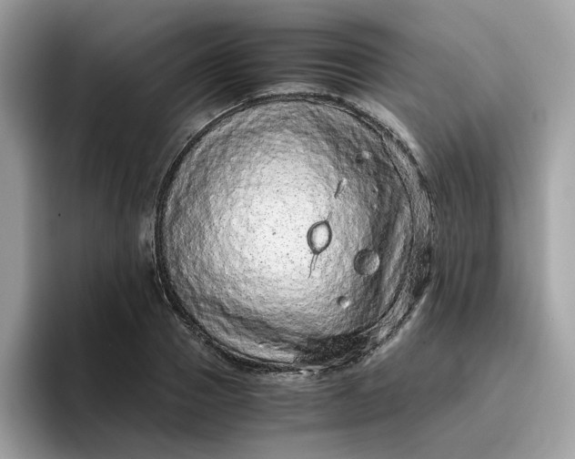 X0000095950937200801251127