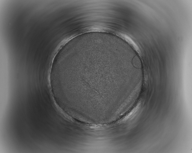 X0000095950938200801251127