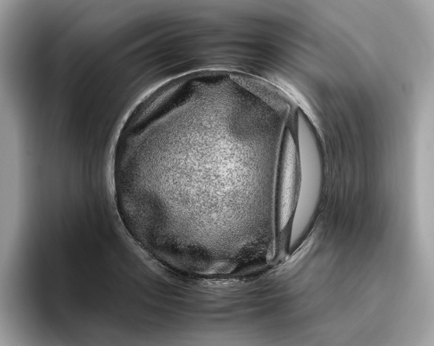 X0000095950939200801251127