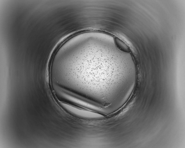 X0000095950940200801251127