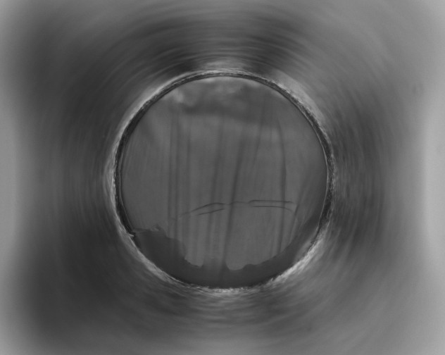 X0000095950941200801251127