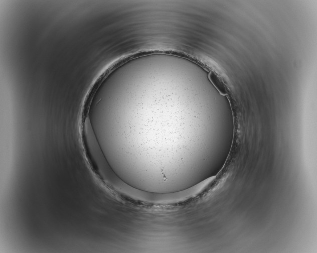 X0000095950942200801251127