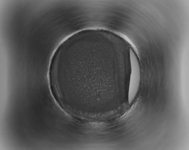 X0000095950943200801251127