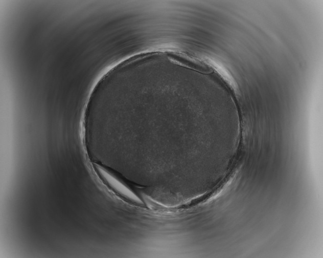 X0000095950944200801251127