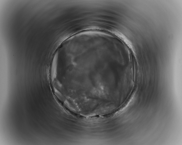 X0000095950945200801251127