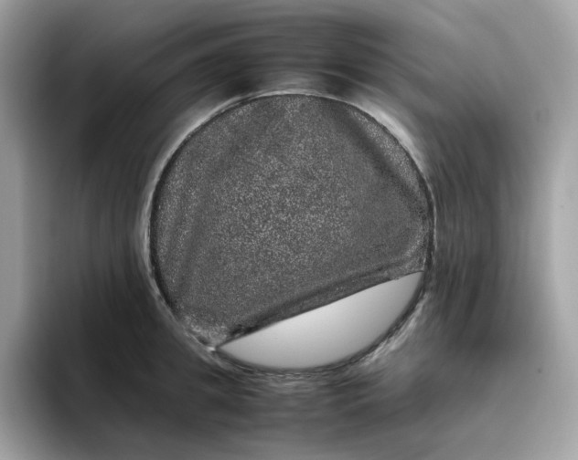 X0000095950949200801251127