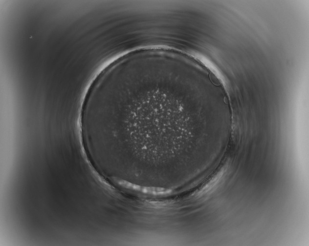 X0000095950951200801251127