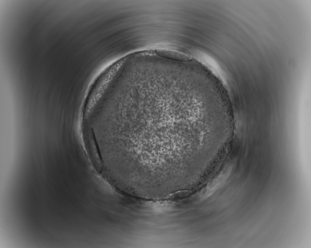 X0000095950952200801251127