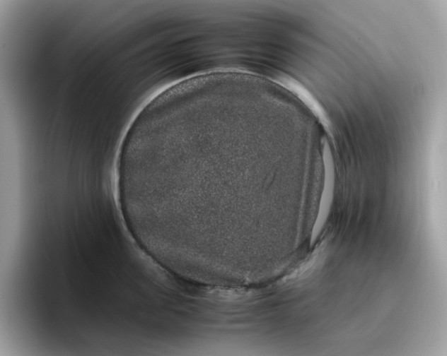 X0000095950955200801251127