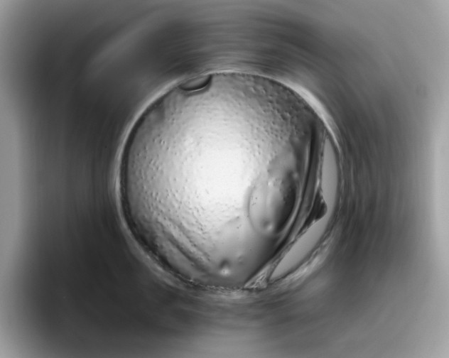 X0000095950957200801251127