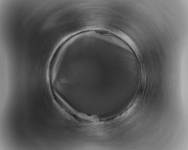 X0000095950958200801251127