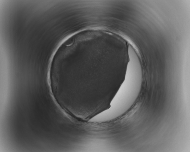 X0000095950959200801251127