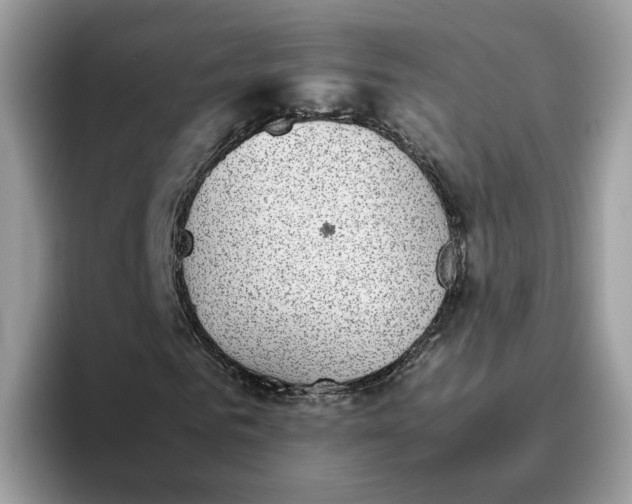 X0000095950961200801251127