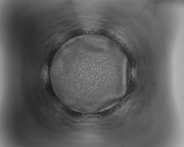 X0000095950963200801251127