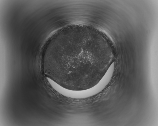 X0000095950968200801251127