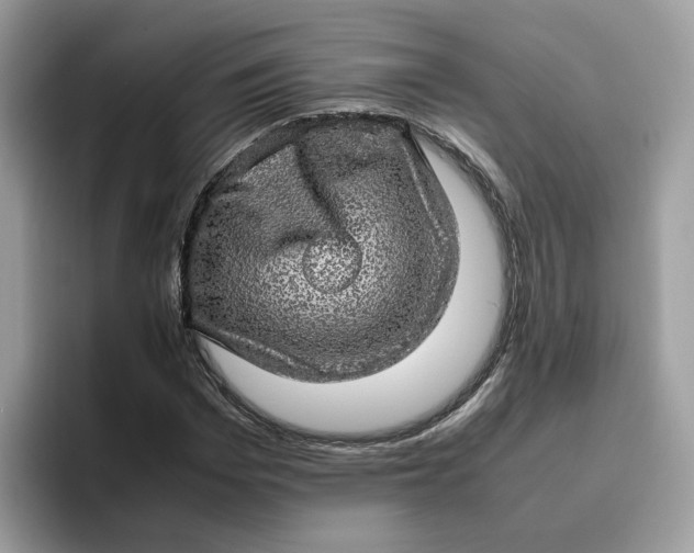 X0000095950969200801251127