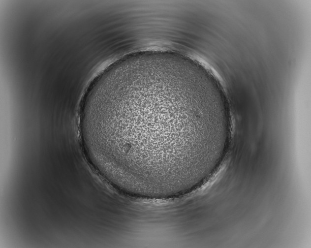 X0000095950970200801251127