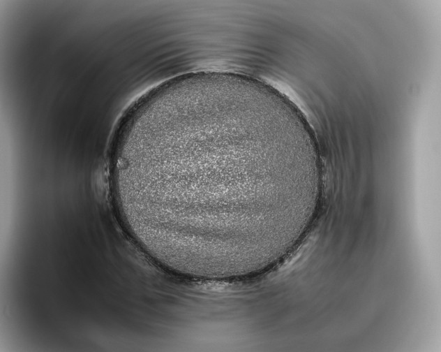 X0000095950971200801251127