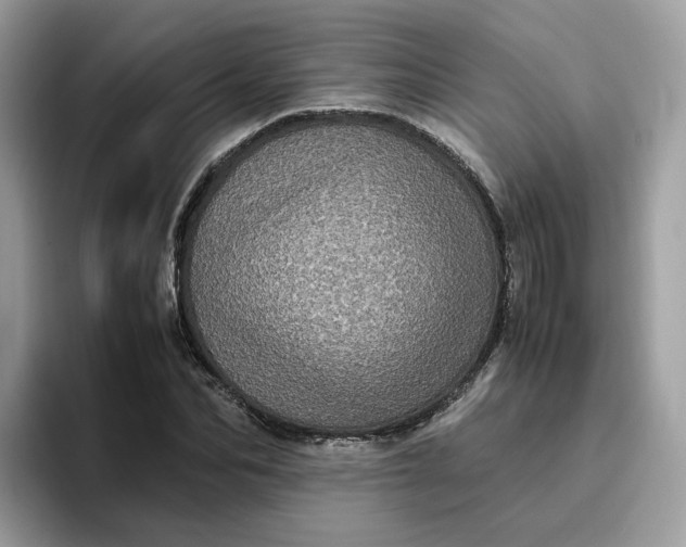 X0000095950974200801251126