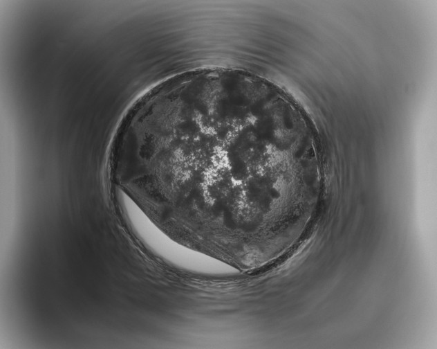 X0000095950975200801251126