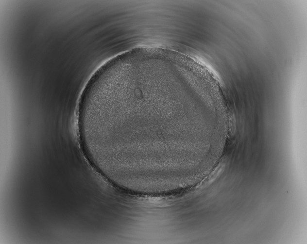 X0000095950976200801251126