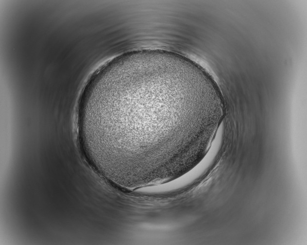 X0000095950979200801251126