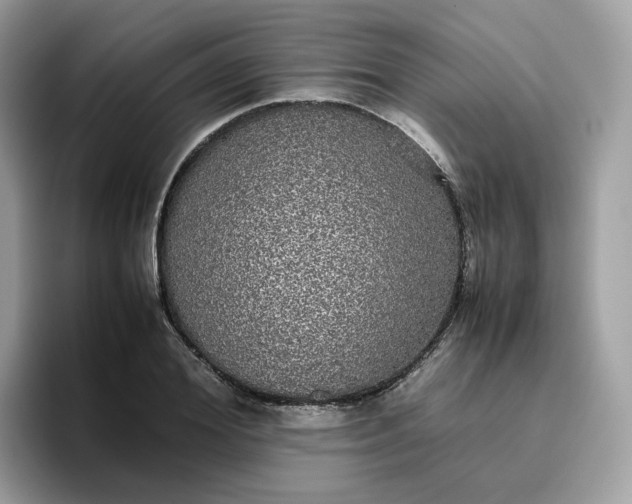 X0000095950980200801251126