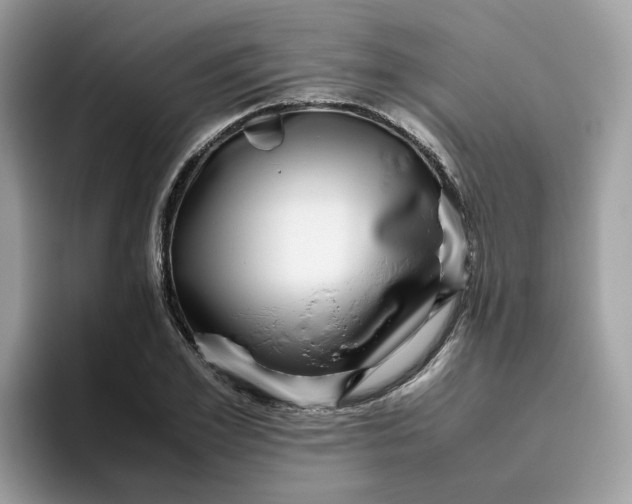 X0000095950981200801251126