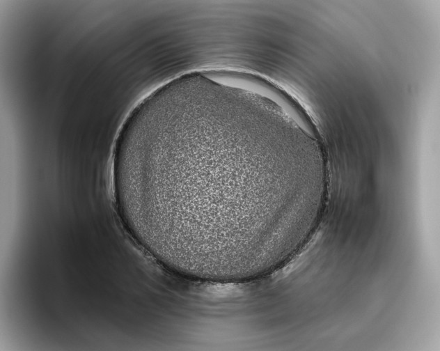 X0000095950982200801251126