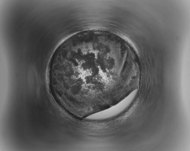 X0000095950983200801251126