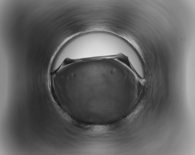 X0000095950984200801251126