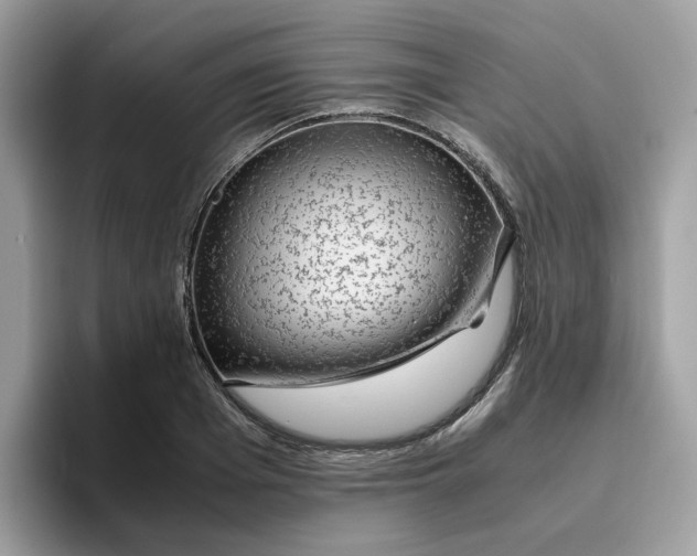 X0000095950985200801251126