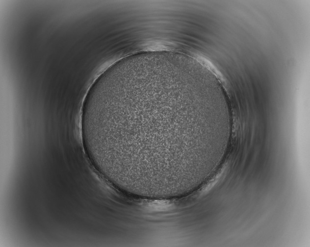 X0000095950986200801251126