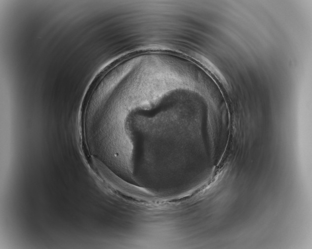 X0000095950988200801251126