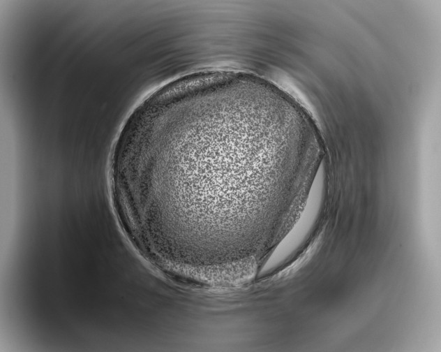 X0000095950989200801251126