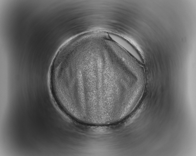 X0000095950991200801251126