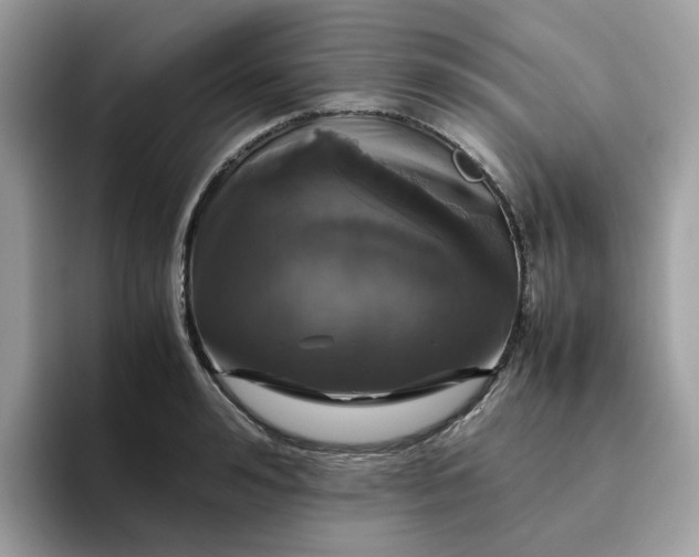 X0000095950992200801251126