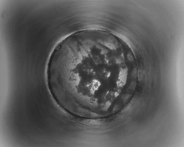 X0000095950995200801251126